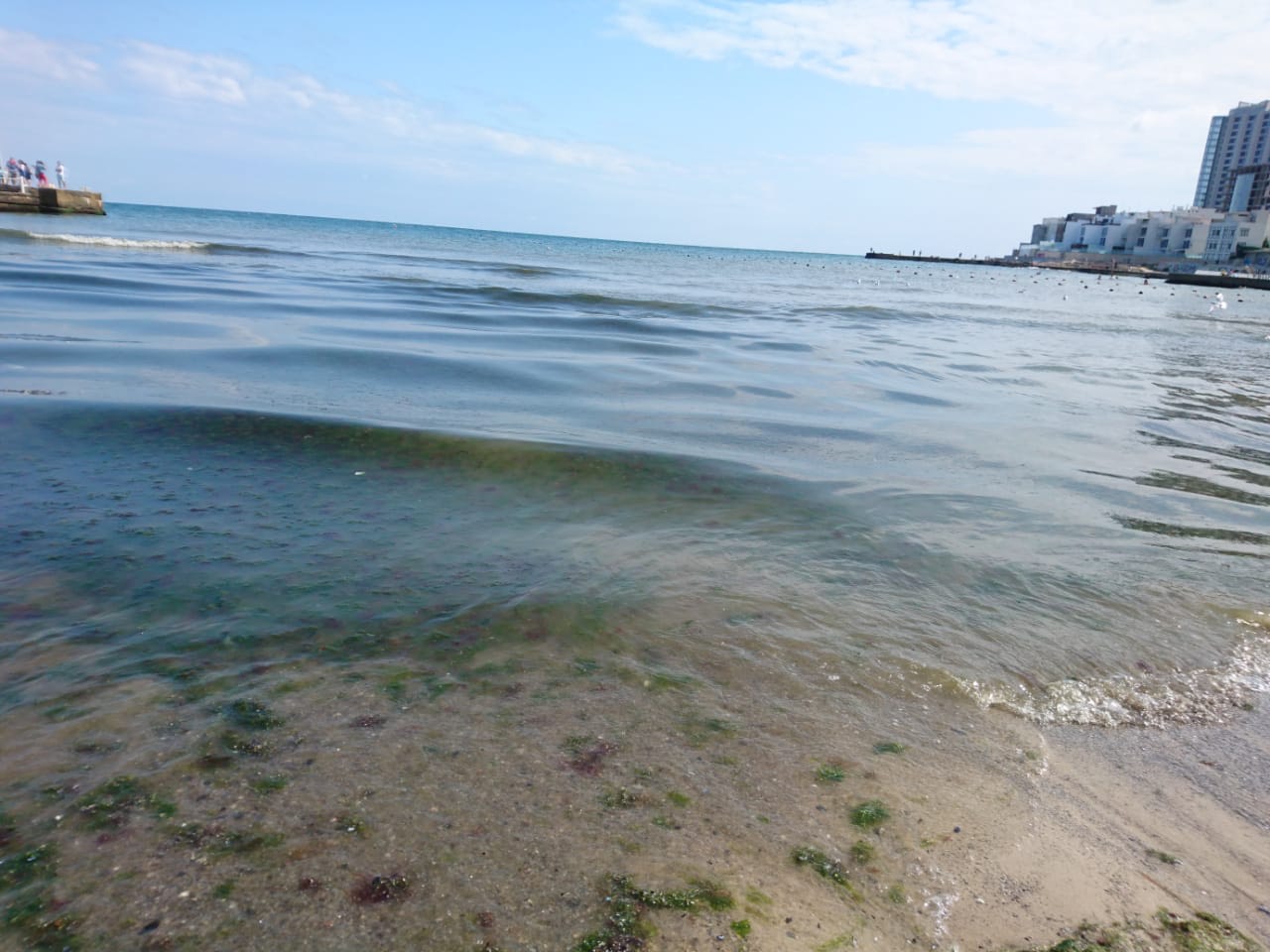 Одесса грязное море